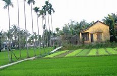联合国继续邦助越南发展农村